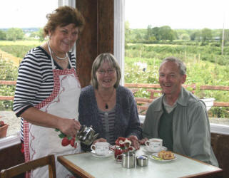 Sidney and Eunice Murphy from Lisburn enjoying tea, scones, cake, cream and freshly picked raspberries at the Oatlands Tea Room last Saturday morning. Serving the tea is Hilda Law and in the background of the photo are some Lisburn visitors busy picking raspberries.