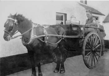 The late James Drayne (who died in 1977) pictured selling milk door to door in and around Lisburn from a ten-gallon can on the back of a pony and trap. 