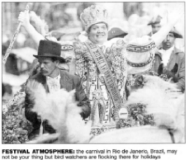 Festival Atmosphere:the carnival in Rio de Janerio, Braizil, may not be your thing but bird watchers are flocking there for holidays