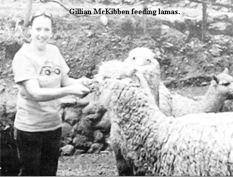 Gillian McKibben feeding lamas.