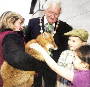 Lisburn Mayor Ronnie Crawford with Elaine McCreery from C&J's Rare Breeds Farm and children Joel and Maia Lutton with Foxy Roxy at the launch of the National Country Sports Fair in Lisburn Civic Centre US1909-402PM