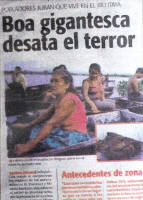 How a paper in Peru reported this week's attack on a house by the snake
