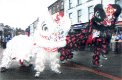 Chinese Dragons performing at the New Years Celebrations at the YMCA. US0509-122A0 Picture By: Aidan O'Reilly