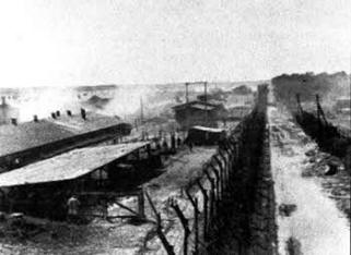 The Bergen Belsen camp where Mala was held captive.
