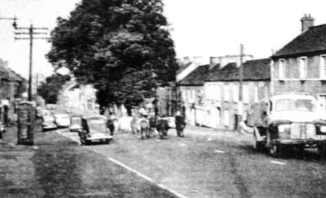Moira main street makes way for the livestock in this old picture first printed in the Star in 1958.
