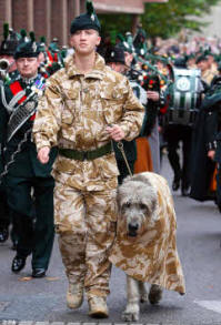 A soldier and Irish wolfhound Brian Boru VIII