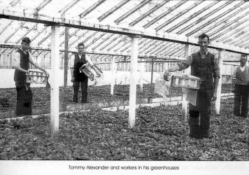 Tommy Alexander and workers in his greenhouses