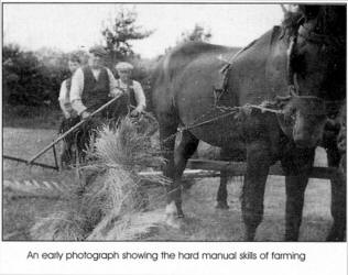 An early photograph showing the hard manual skills of farming