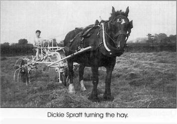 Dick Spratt turning the hay