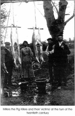 Millers the Pig Killers and their victims' at the turn of the twentieth century
