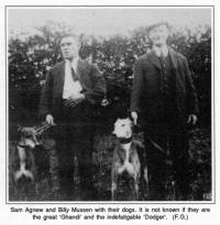 Sam Agnew and Billy Mussen with their dogs. It is not known if they are the great 'Ghandi' and the indefatigable 'Dodger'. (F.G.)