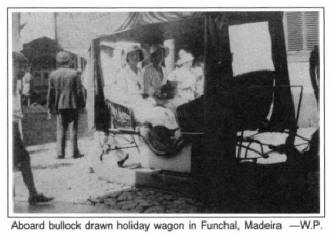 Aboard bullock drawn holiday wagon in Funchal, Madeira -W. P.