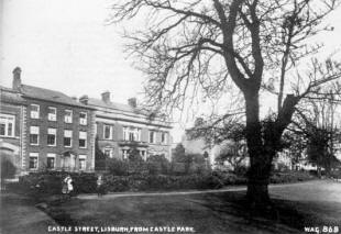 Wallace House and its neighbours, c1910 (?) (Copyright Ulster Folk and Transport Museum: WAG868