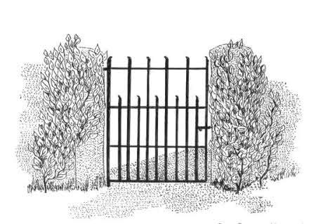 Gate to Trummery old graveyard