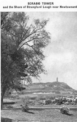 SCRABO TOWER and the shore of Strangford Lough near Newtownards