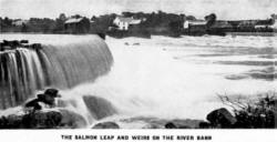 THE SALMON LEAP AND WEIRS ON THE RIVER BANN