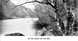 IN THE GORGE OF THE ROE