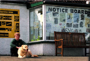 Northern Ireland Animals