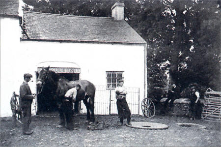 Thomas Steele and Sons - one of the blacksmiths in Glenavy. 