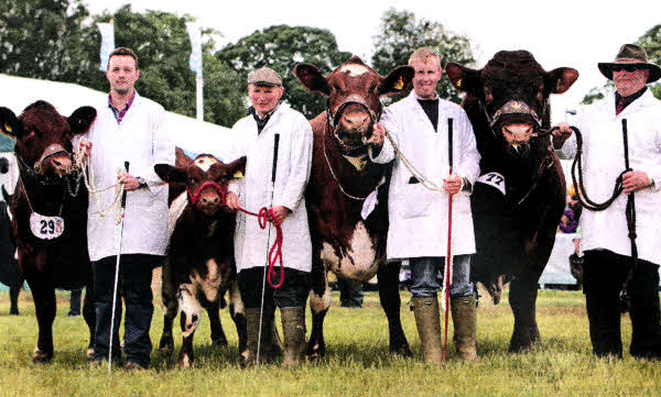 James Porter with his cattle at the Royal Highland Show which won the coveted Native Groups Championship.