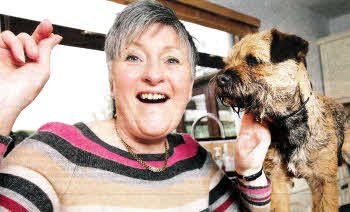 Margaret Armstrong, from Hillsborough, with Border Terrier champion Darcie (full name Champion Blewecourt Manhattan at Ploughdown), getting ready for next month when Margaret will head off to show Darcie at the Crufts Dog Show, held in the NEC, Birmingham. US0812.527cd