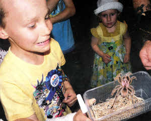 Patrick Campbell with a spider at his party.