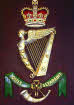Royal Irish Rifles 36th Ulster Division.