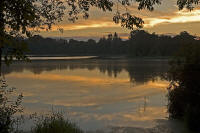Hillisborough Lake Sunset in the Glade 3