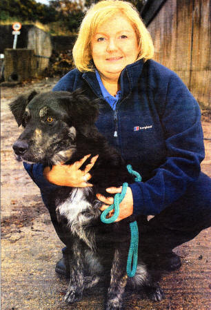Lisburn Council Dog Warden Joanne Leathem with a stray dog who is looking for a new home.