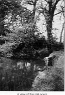 A view of the Mill Pond